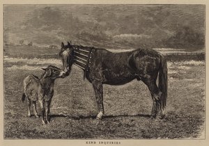 Venlige forespørgsler af Alfred Chantrey Corbould